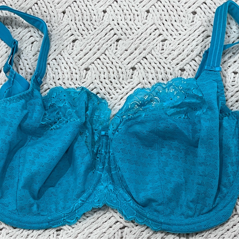 NWT panache bra size 38G